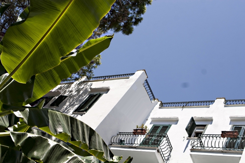 Hotel Parco Verde Terme Ischia Hotel Parco Verde Terme Ischia