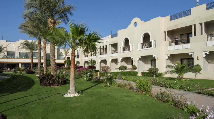 Garden+1+Arabian+Sunrise