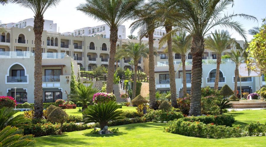 Garden+Arabian+Sunrise