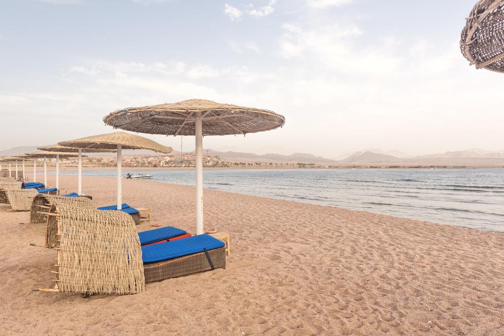 barcelo-tiran-2