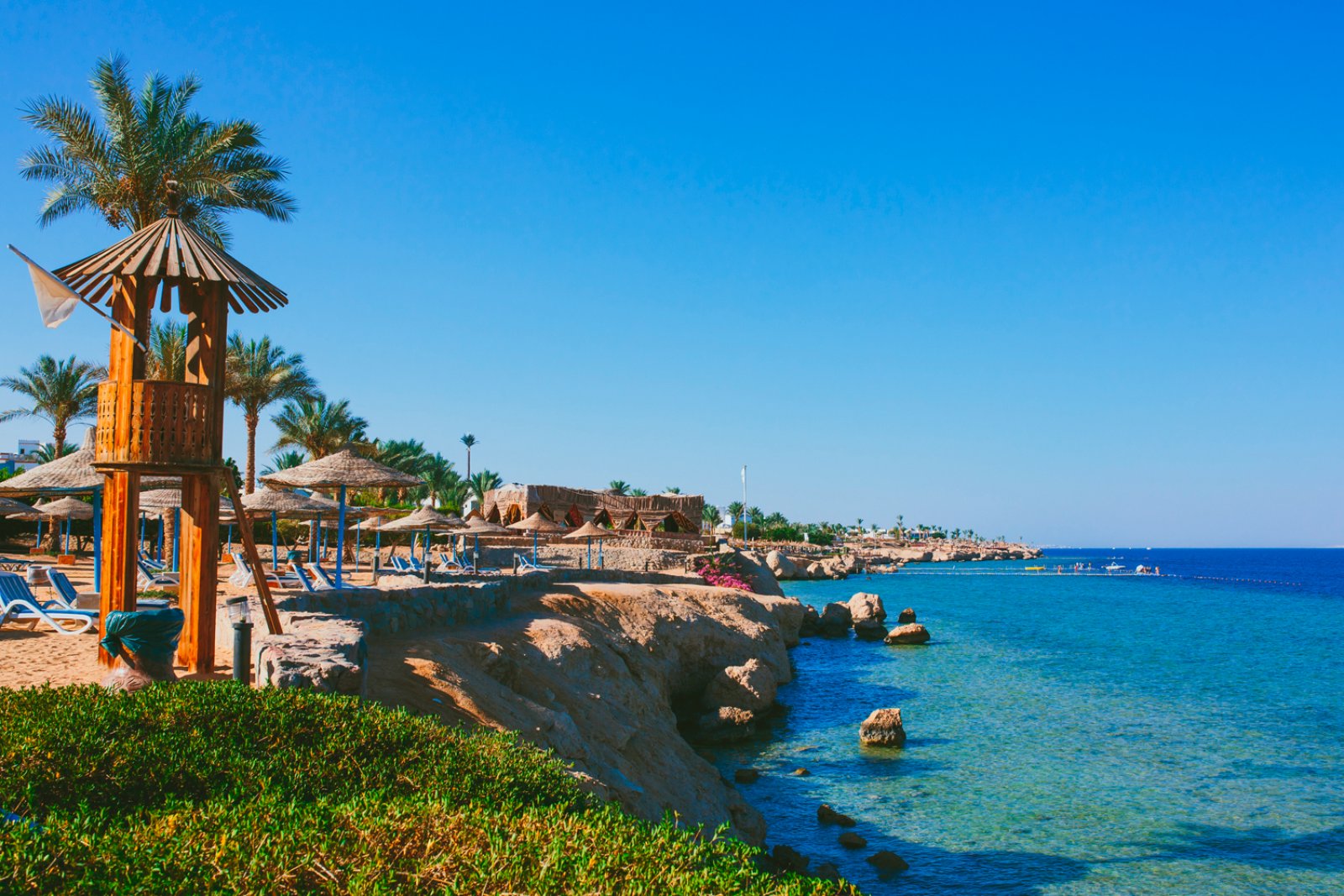 queen-sharm-3