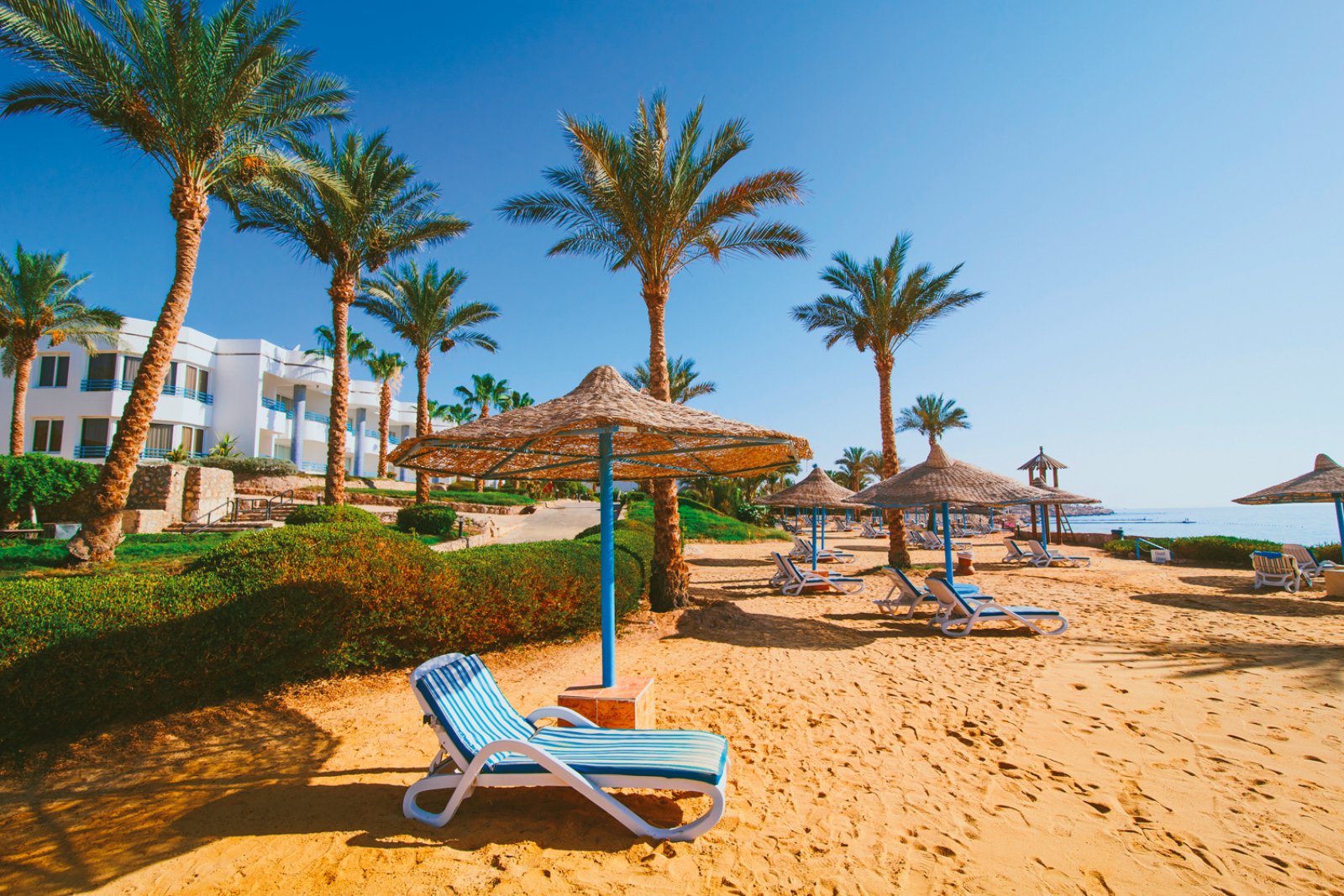 queen-sharm-5