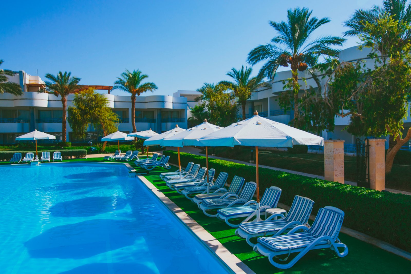queen-sharm-12