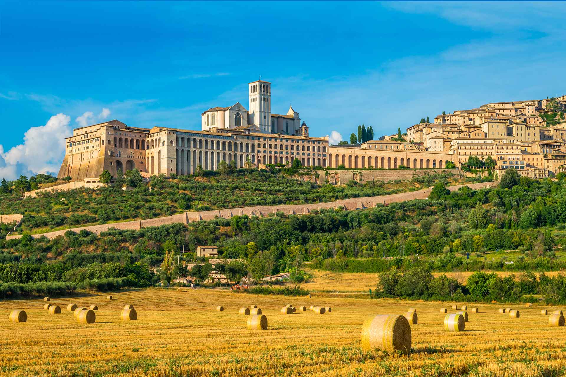umbria2-web