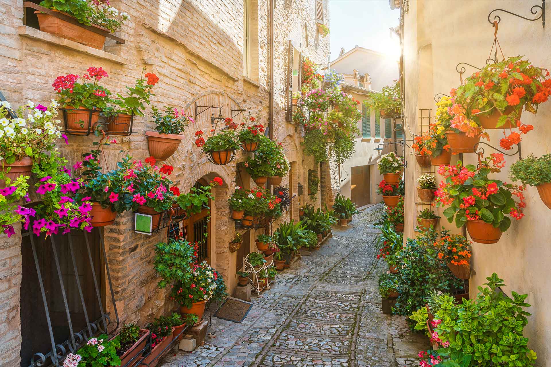 umbria-spello2-web